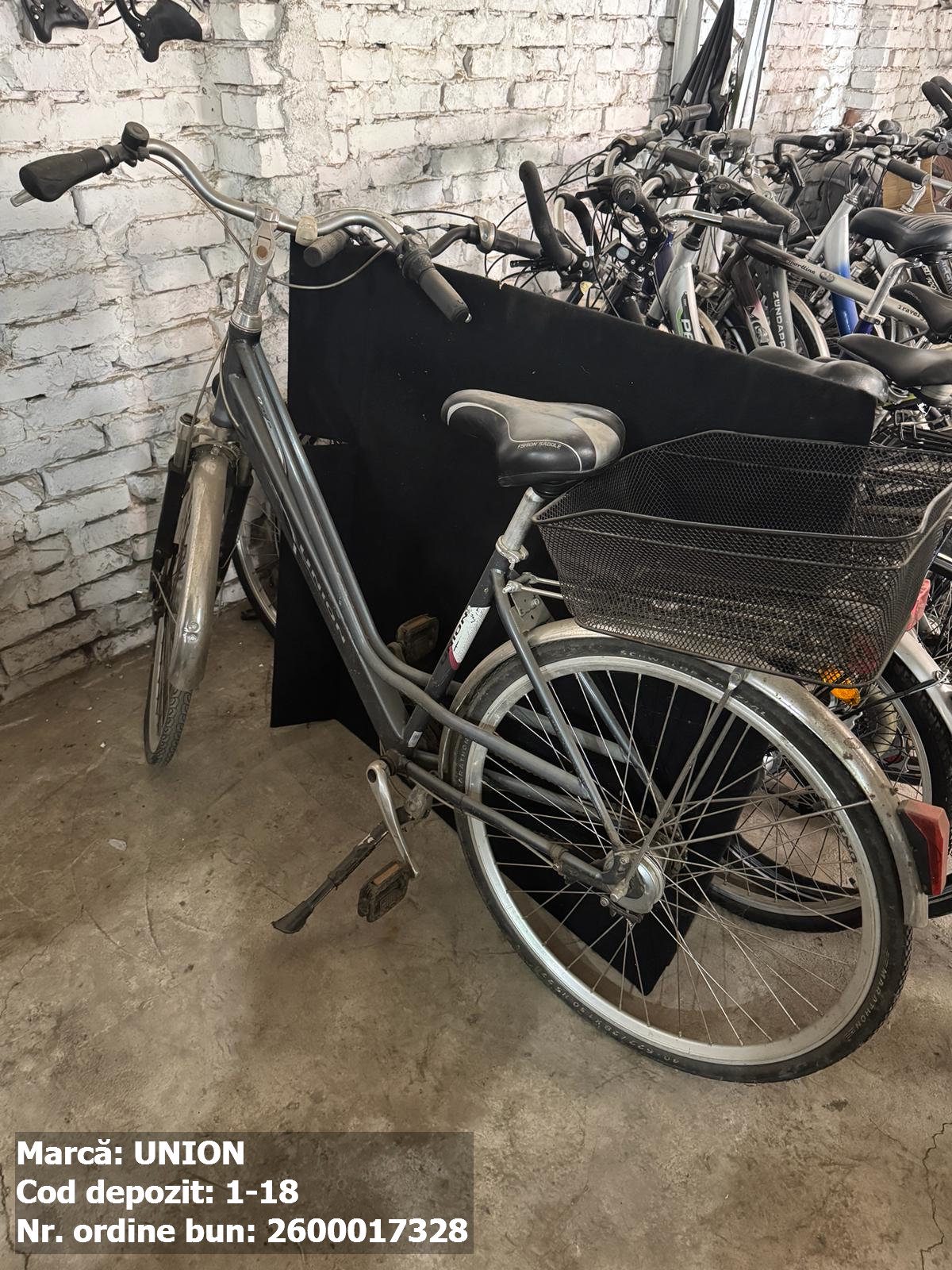 Bicicleta- Union 1