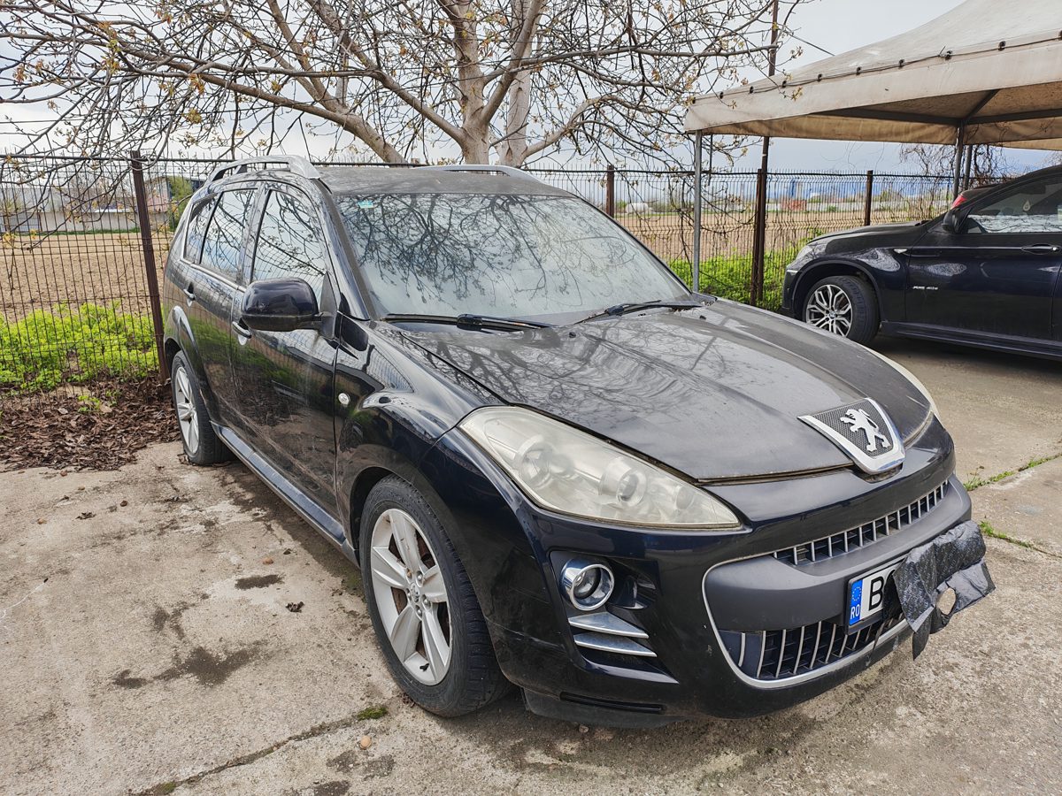 Miniatură 3