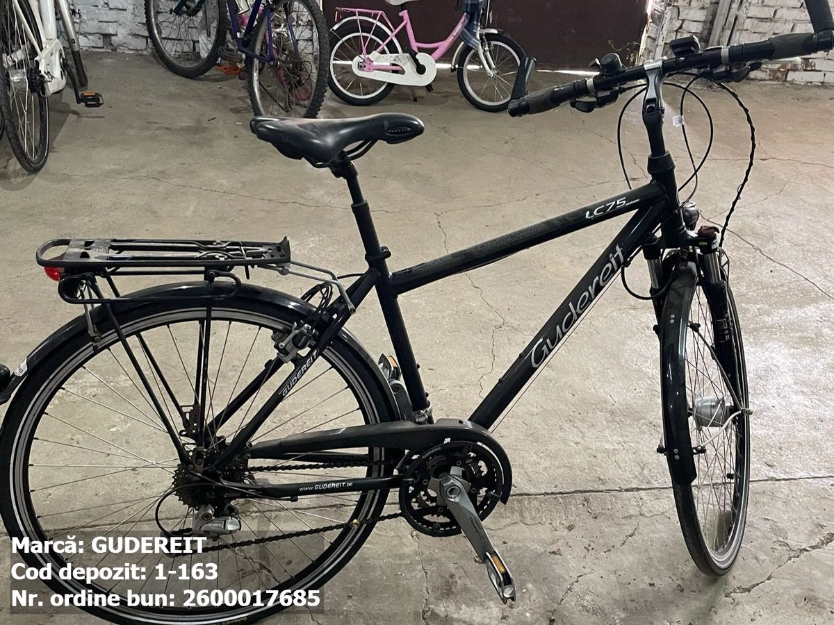 Bicicleta- Gudereit 1