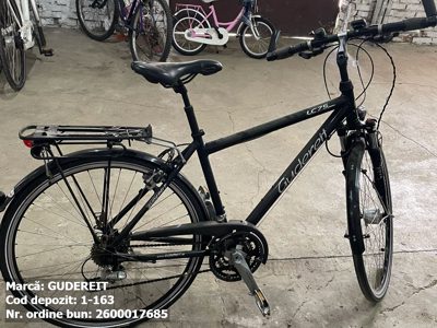 Bicicleta- Gudereit