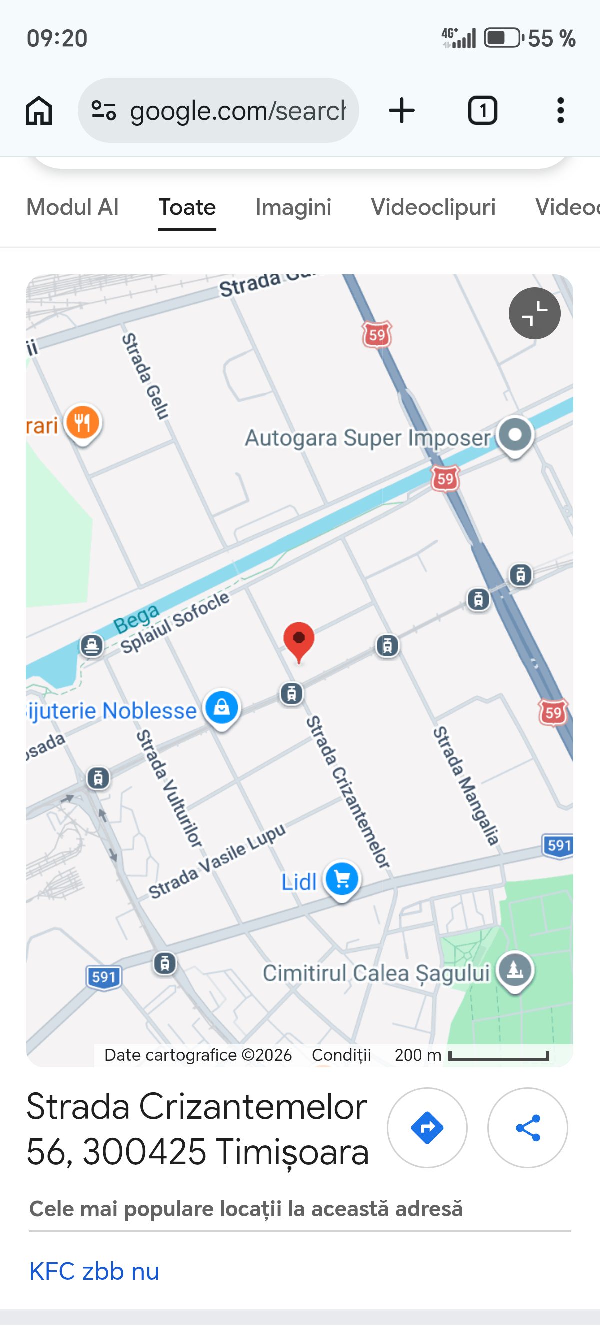 Miniatură 10