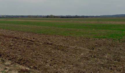 Teren agricol - in suprafata de 1300 MP 1
