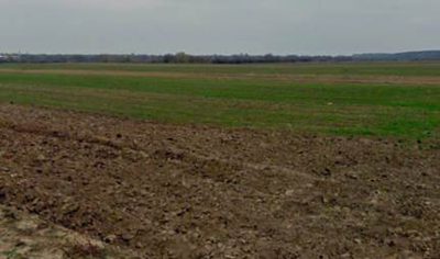 Teren agricol - in suprafata de 1300 MP