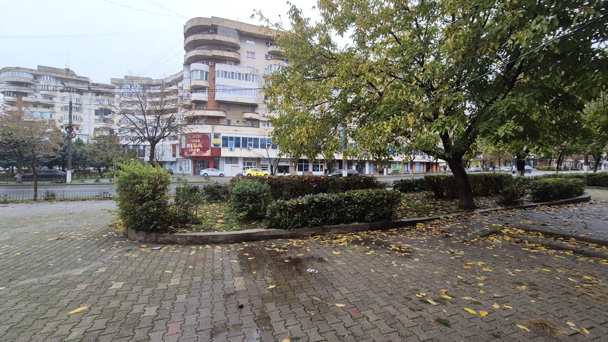 Miniatură 4