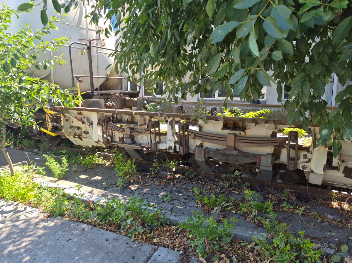 Miniatură 5