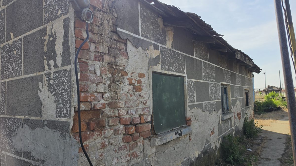 Miniatură 3