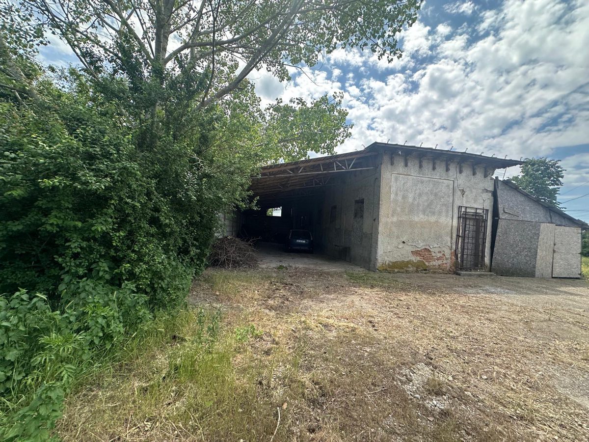 Miniatură 2