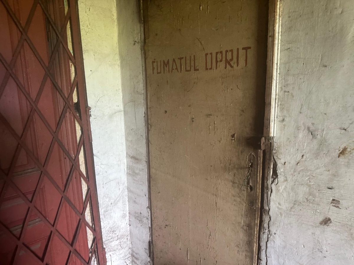 Miniatură 7