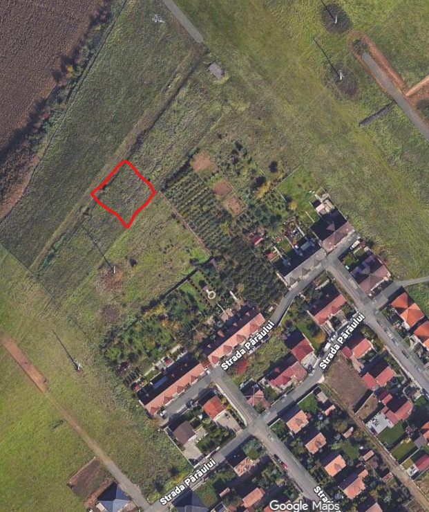 Miniatură 2
