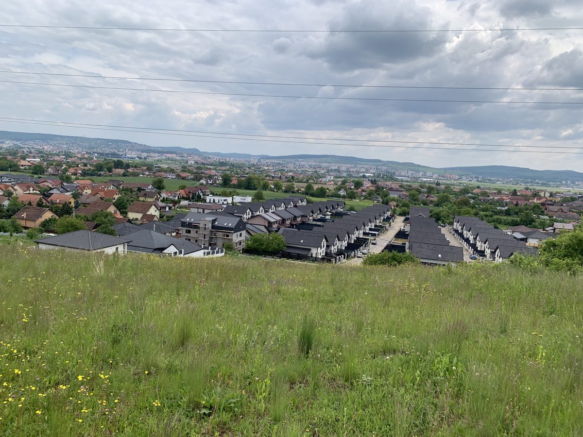 Miniatură 4
