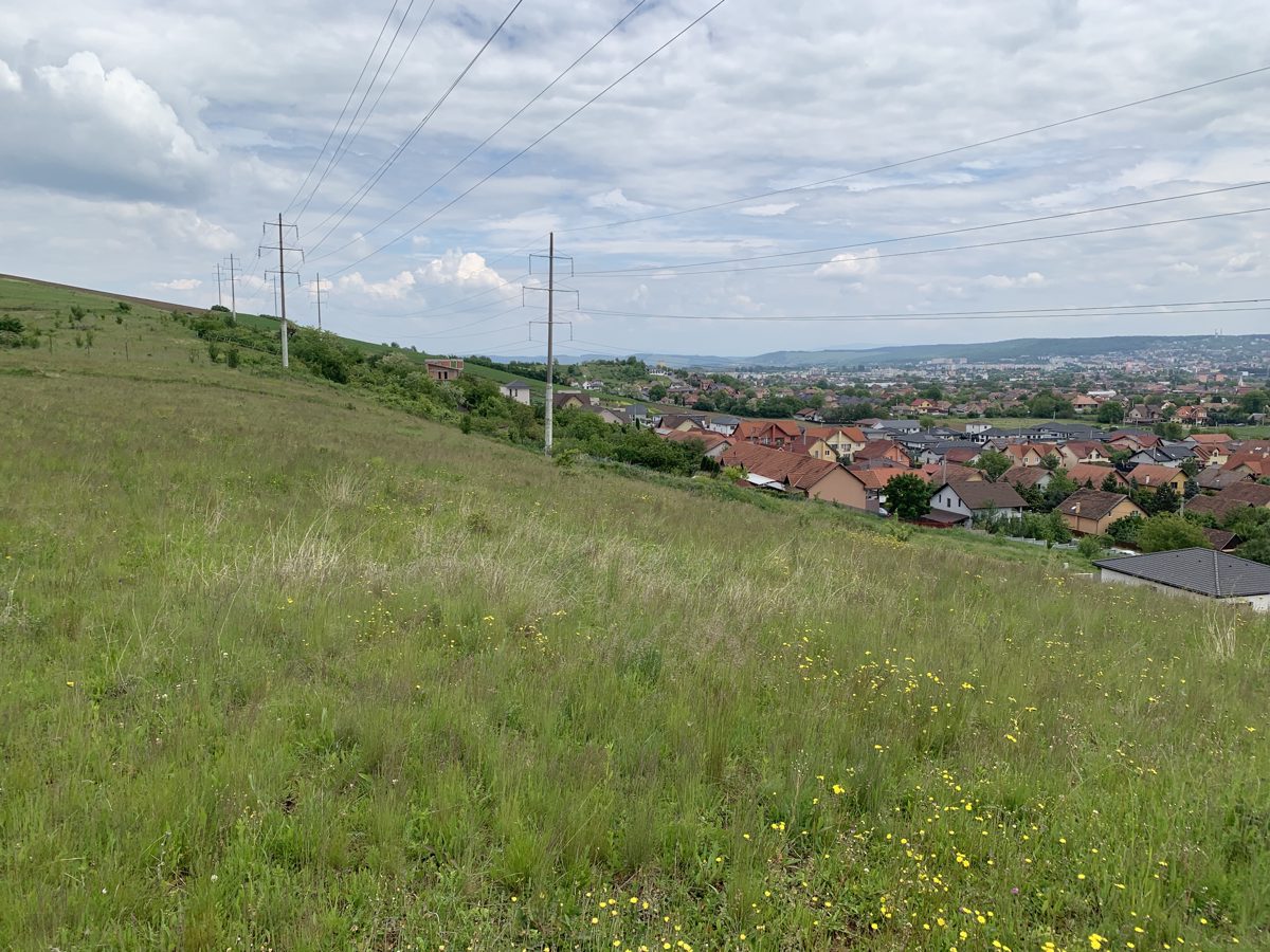 Miniatură 5