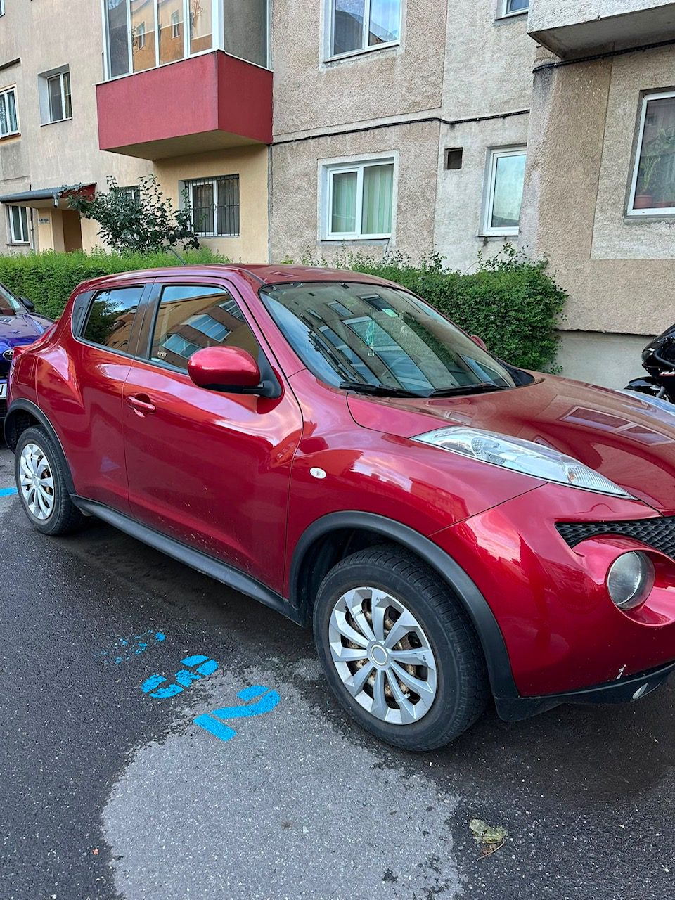 Miniatură 4