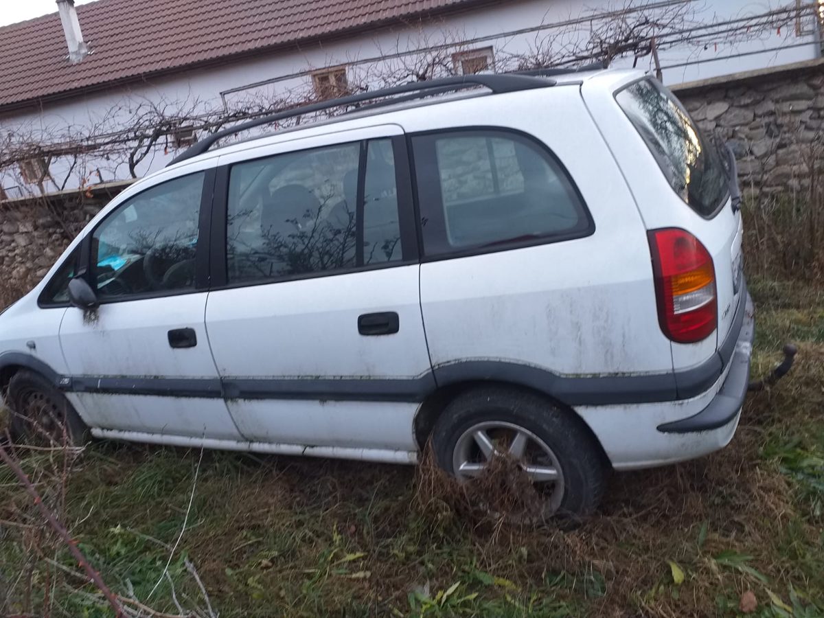 Miniatură 7