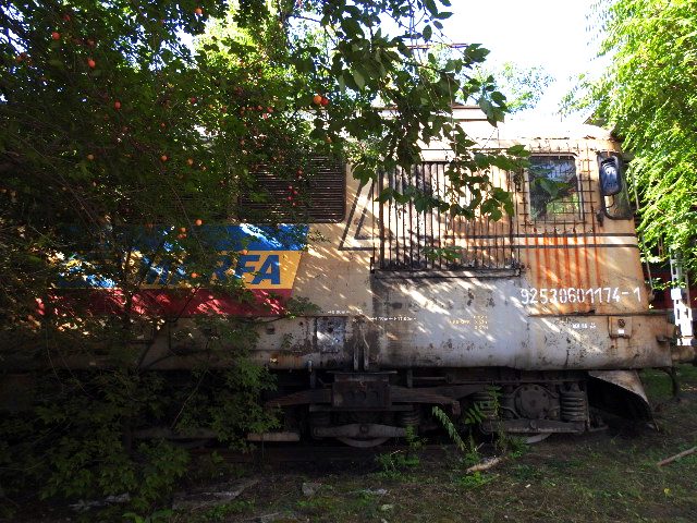 Miniatură 3