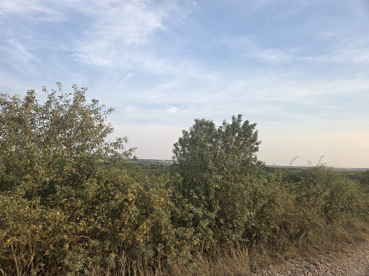 Miniatură 4
