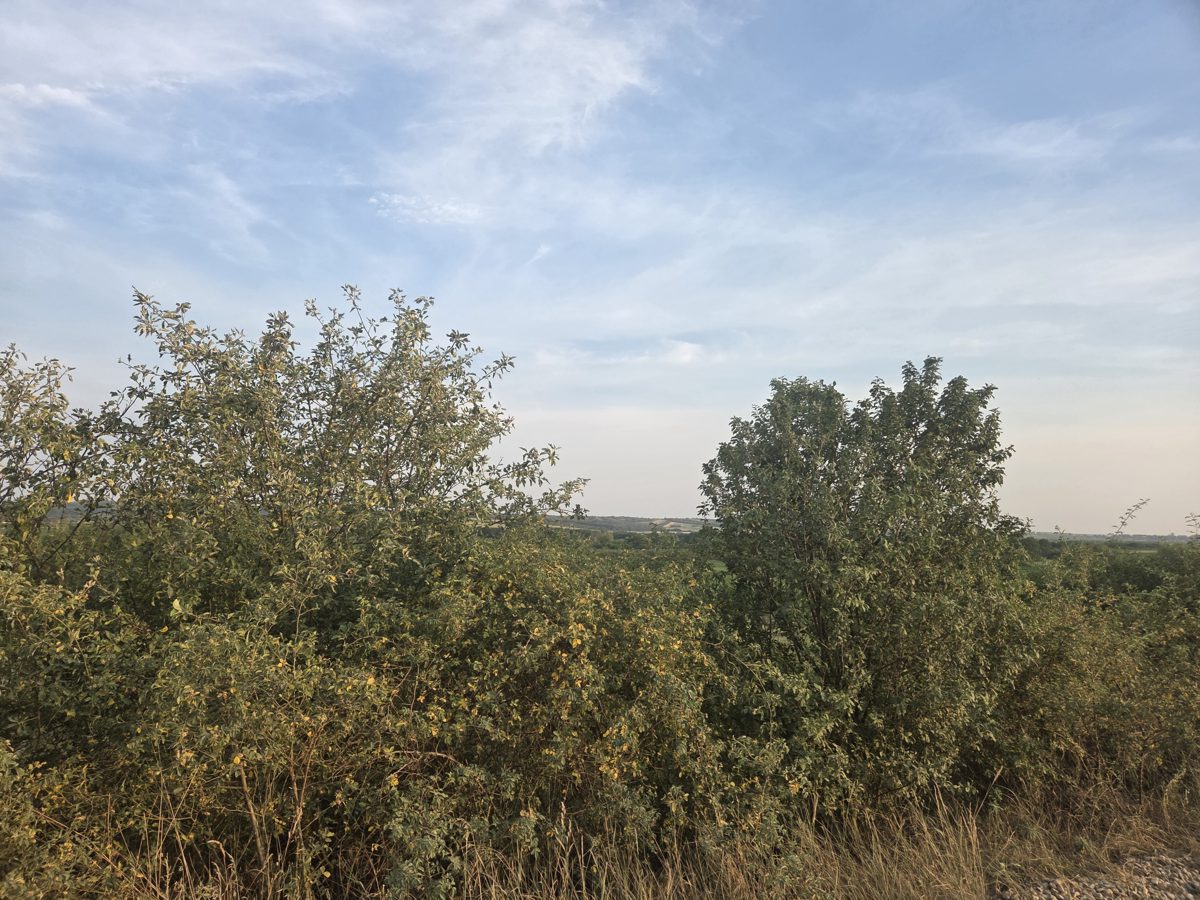 Miniatură 5