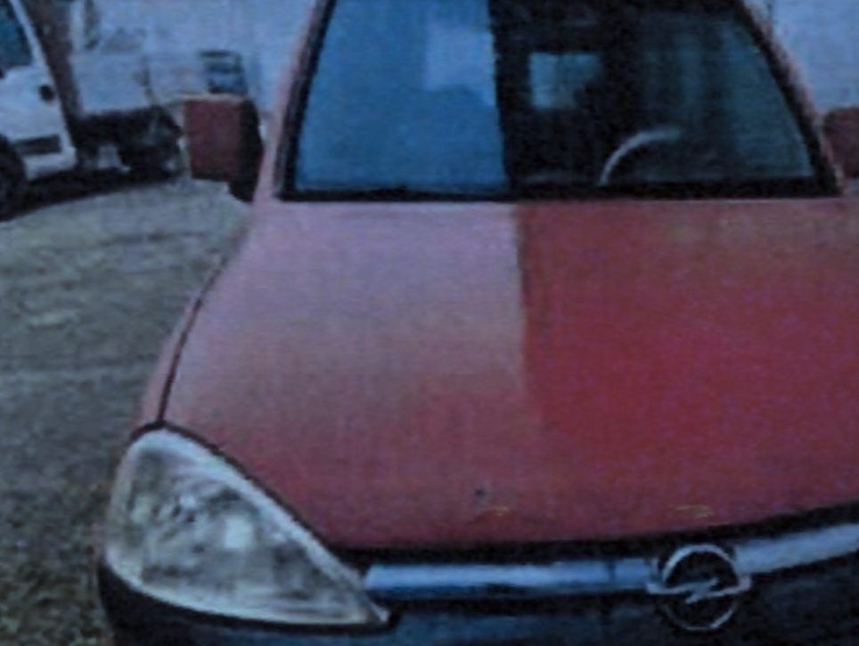 Miniatură 3