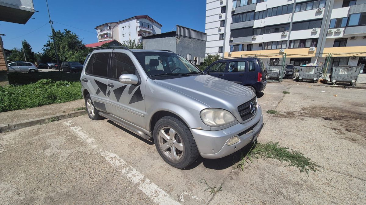 Miniatură 2