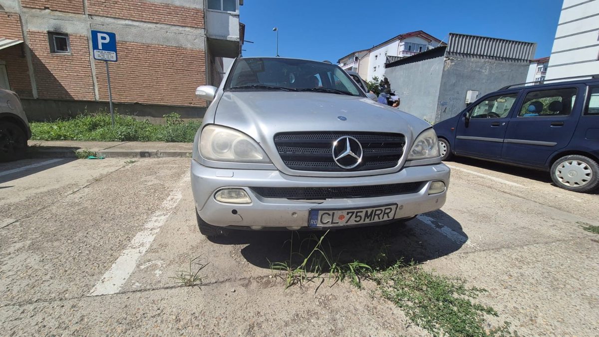 Miniatură 3