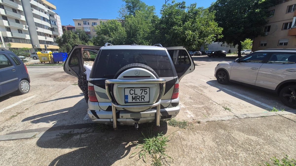 Miniatură 4
