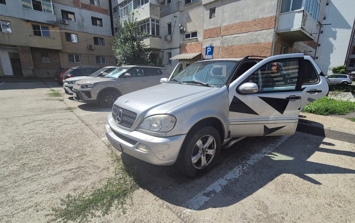 Miniatură 6