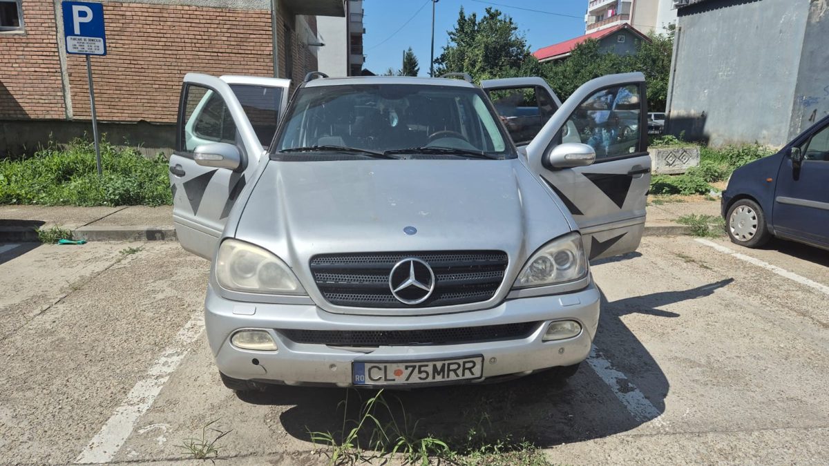 Miniatură 7