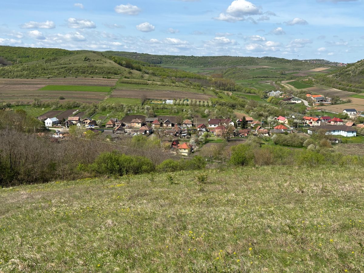 Teren intravilan arabil, cota de ½, in suprafata de 1100 mp,  situat in loc. Sânmartin, jud. Cluj 1