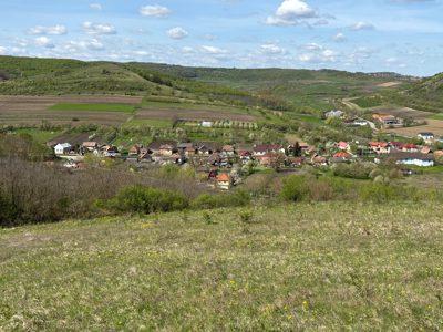 Teren intravilan arabil, cota de ½, in suprafata de 1100 mp,  situat in loc. Sânmartin, jud. Cluj