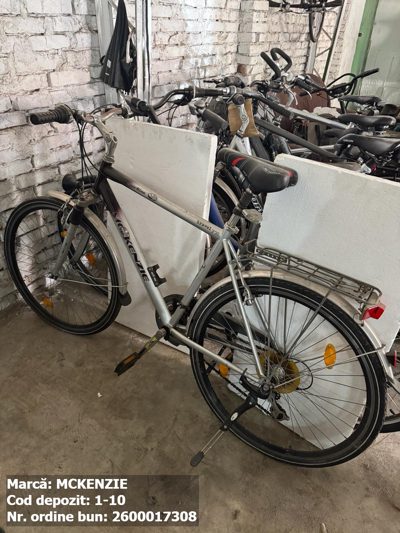 Bicicleta- McKenzie