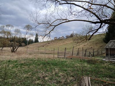 Faneata -