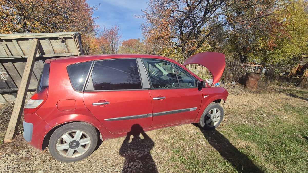 Miniatură 2