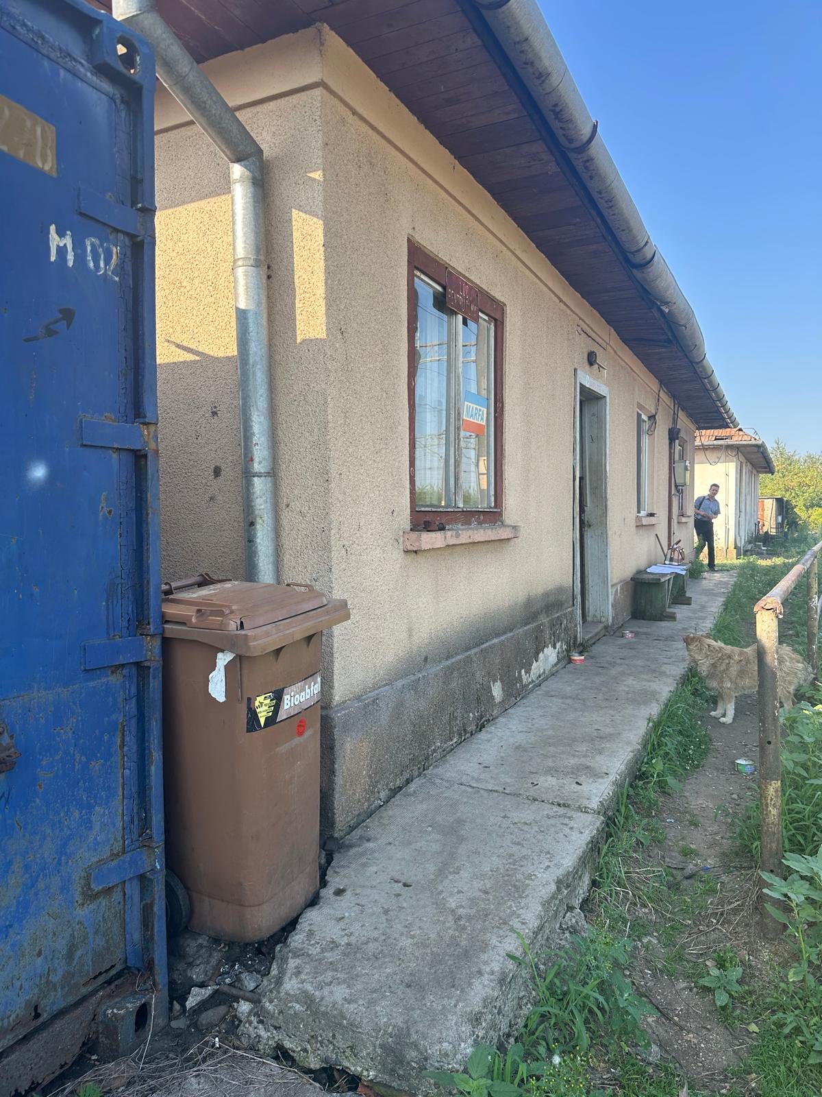 Miniatură 3
