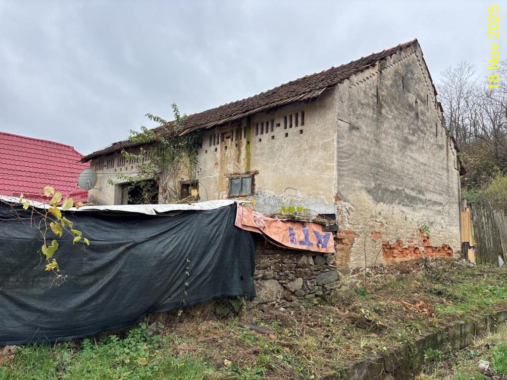 Miniatură 2