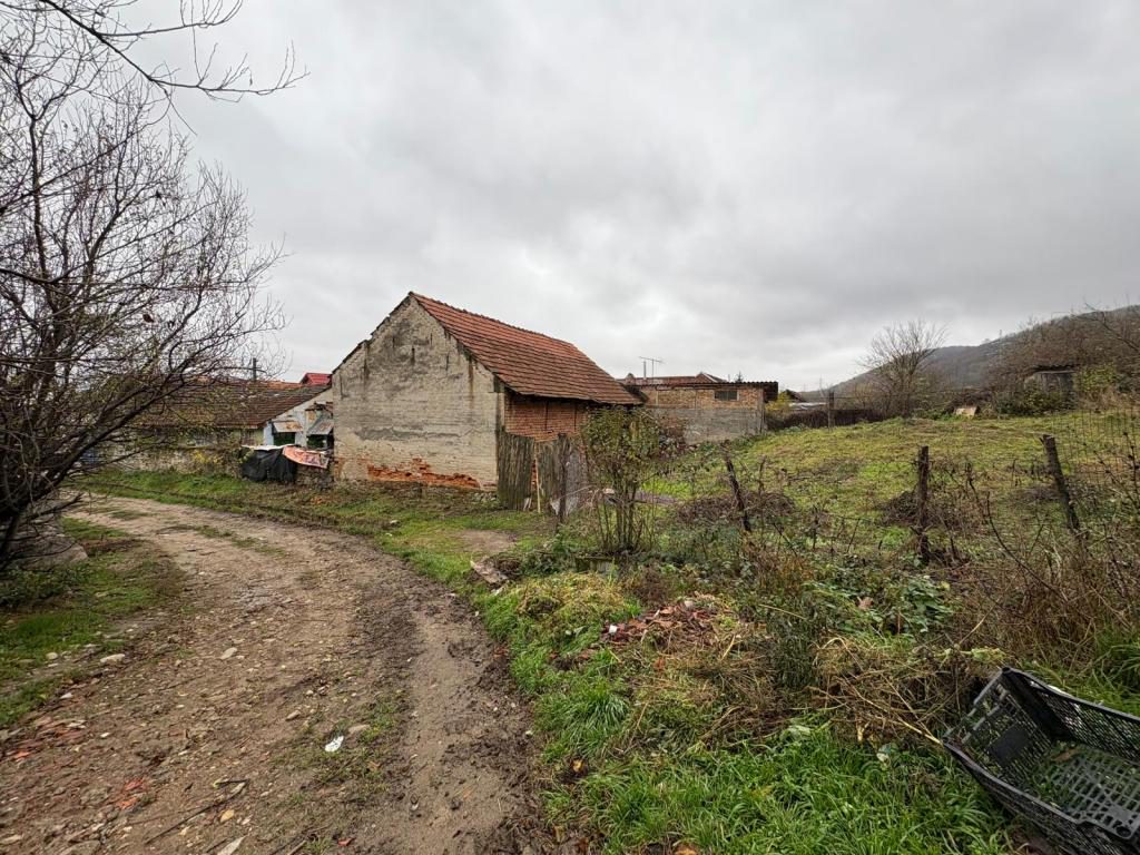 Miniatură 3