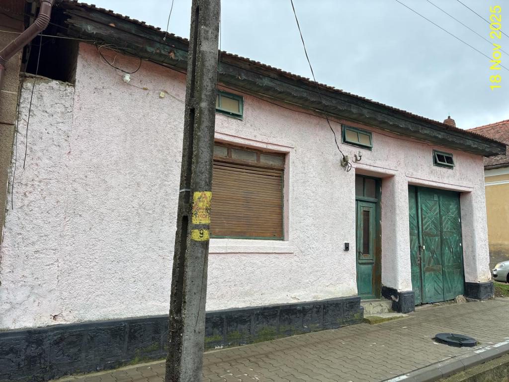 Miniatură 4