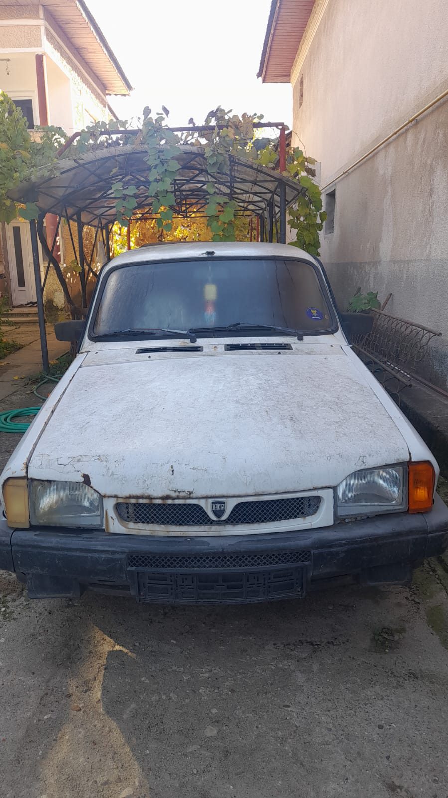 Miniatură 3