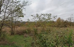 Miniatură 2
