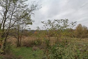 Miniatură 3