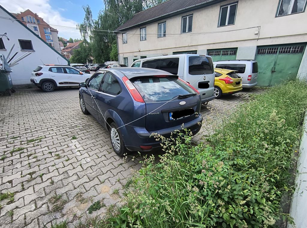 Miniatură 8