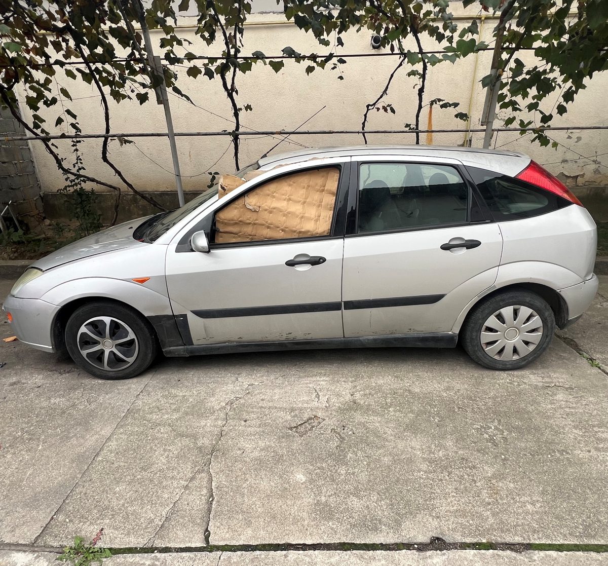 Miniatură 5