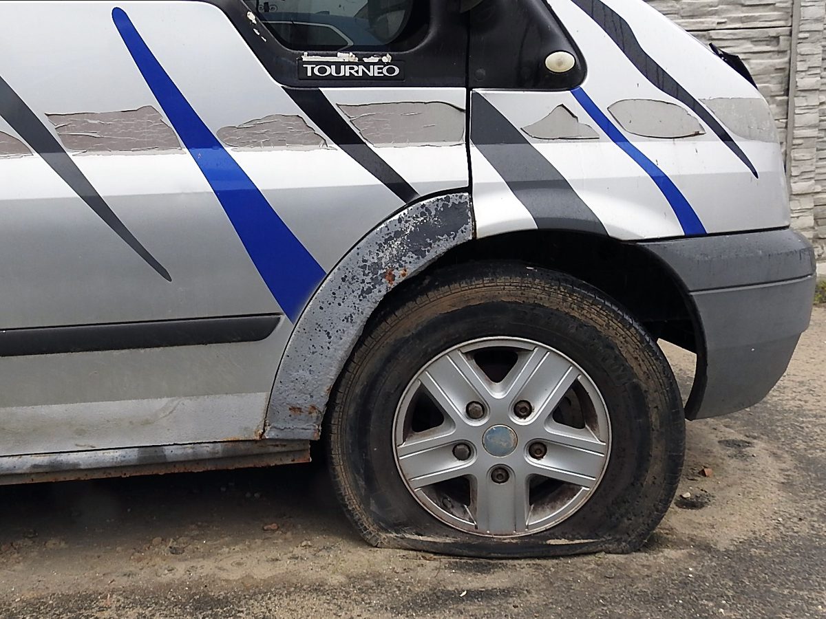 Miniatură 5