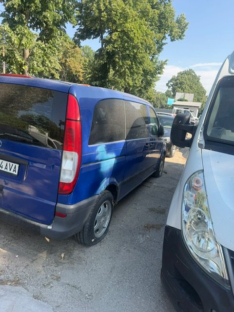 Miniatură 2