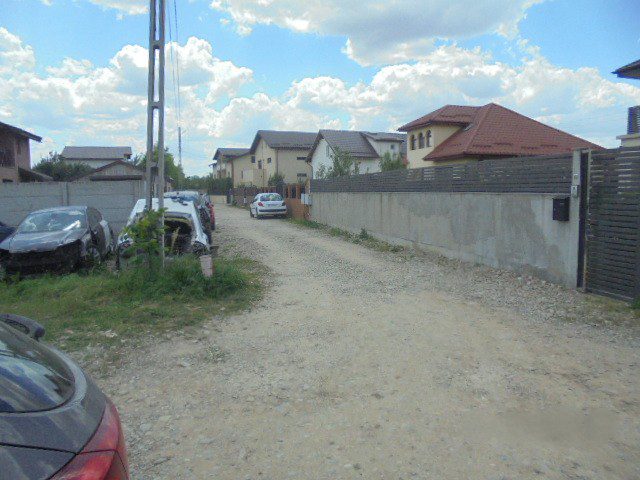 Miniatură 3
