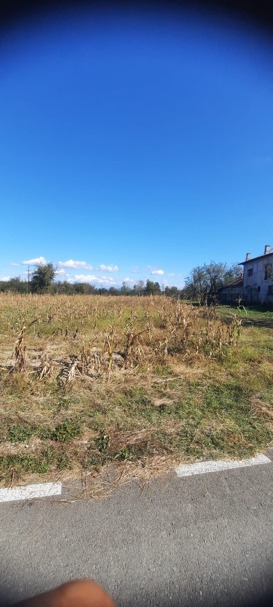 Miniatură 2