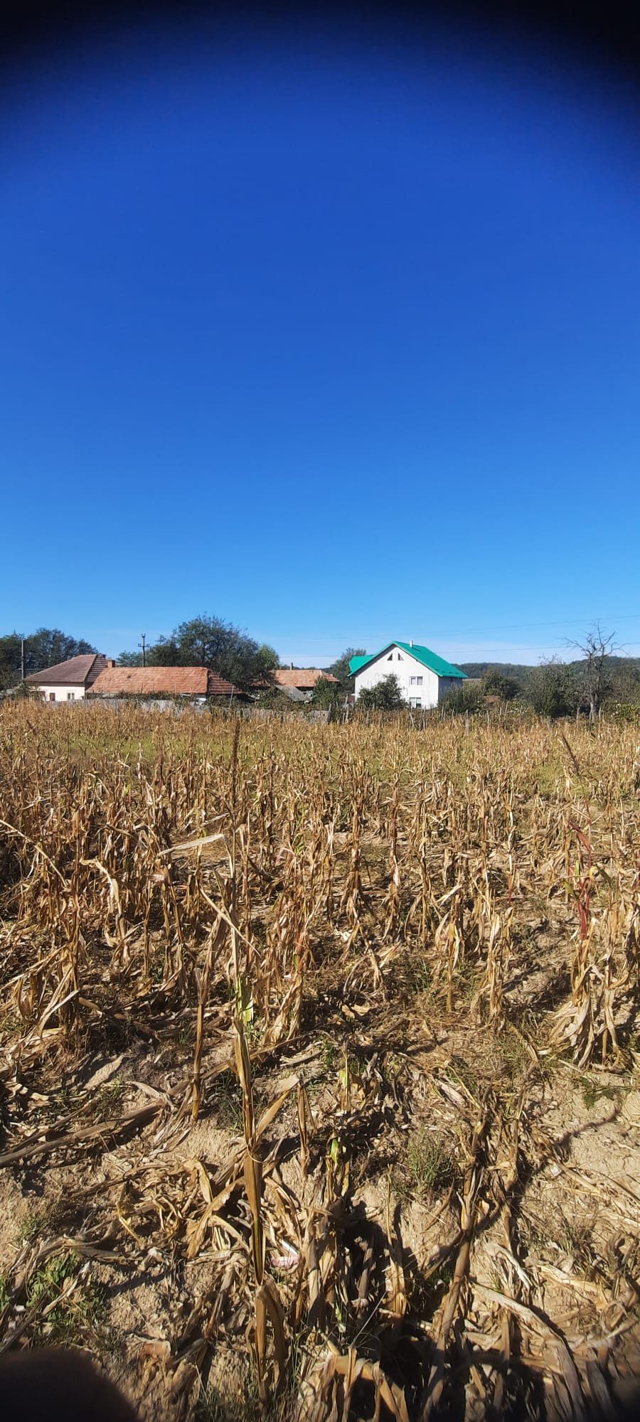 Miniatură 3