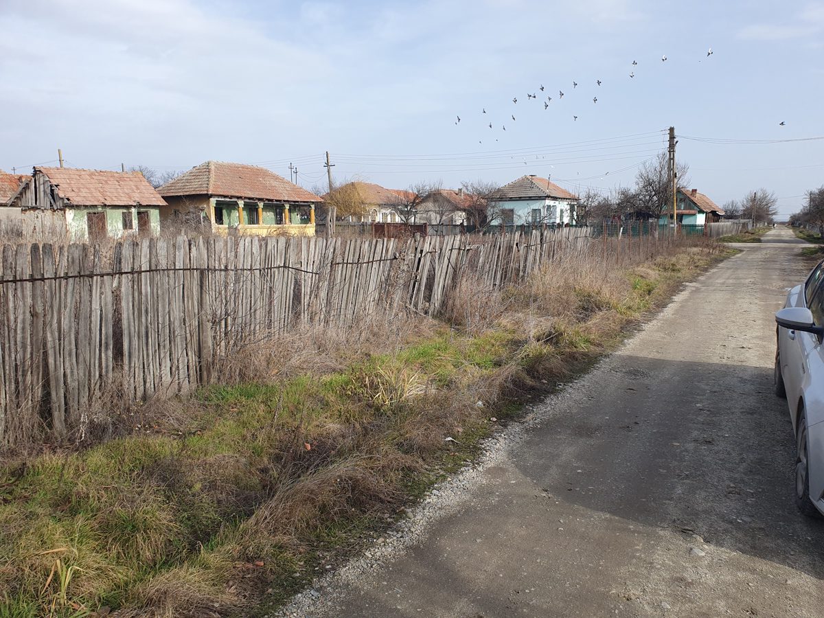 Miniatură 2