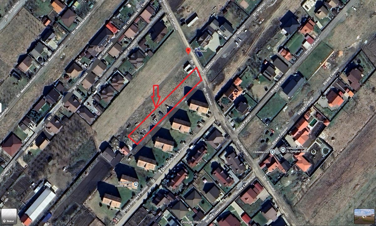 Miniatură 4