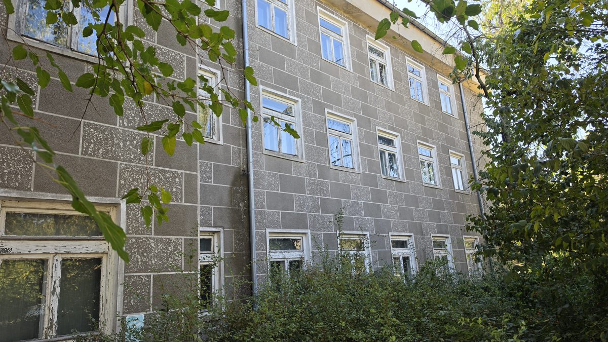 Miniatură 2
