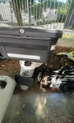 Miniatură 3