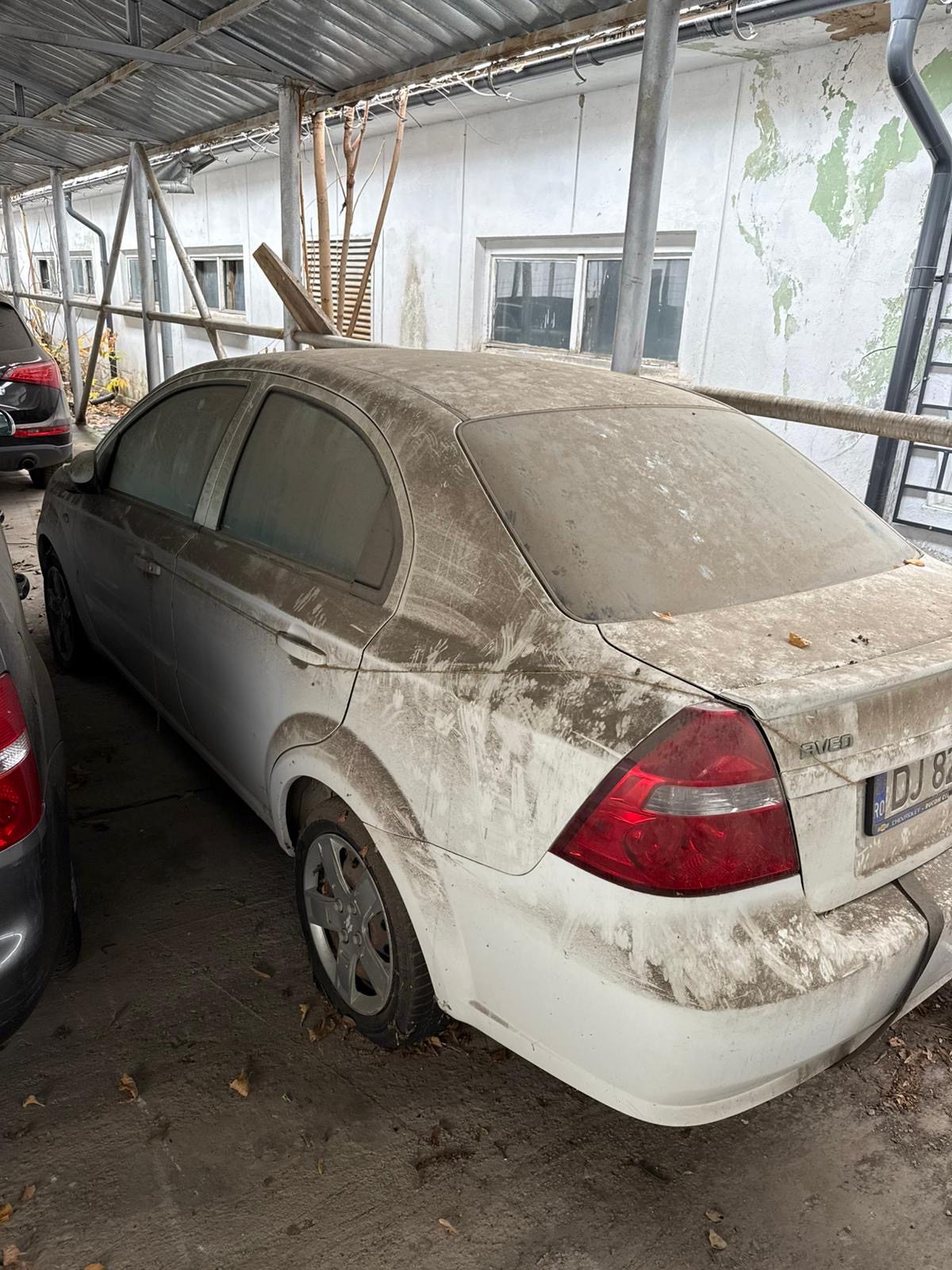 Miniatură 10